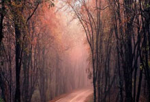 拜仁慕尼黑主帅再度换帅，球迷担心球队稳定性