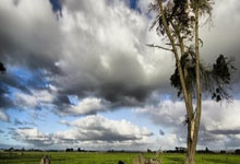 赫罗纳惊险保级，球迷沸腾庆祝