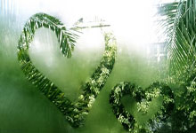 拜仁慕尼黑主帅再度换帅，球迷担心球队稳定性