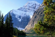 浦和红钻横扫对手，锁定四强席位