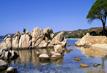 跆拳道高手技压众，决胜场上光芒四射