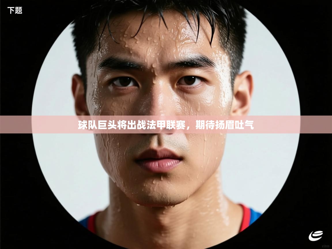 球队巨头将出战法甲联赛,期待扬眉吐气 第1张