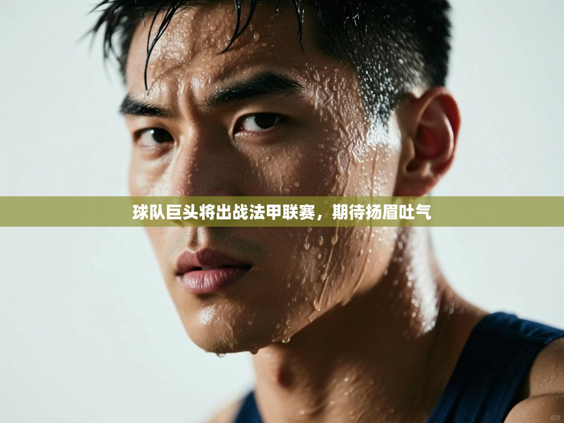 球队巨头将出战法甲联赛,期待扬眉吐气 第2张