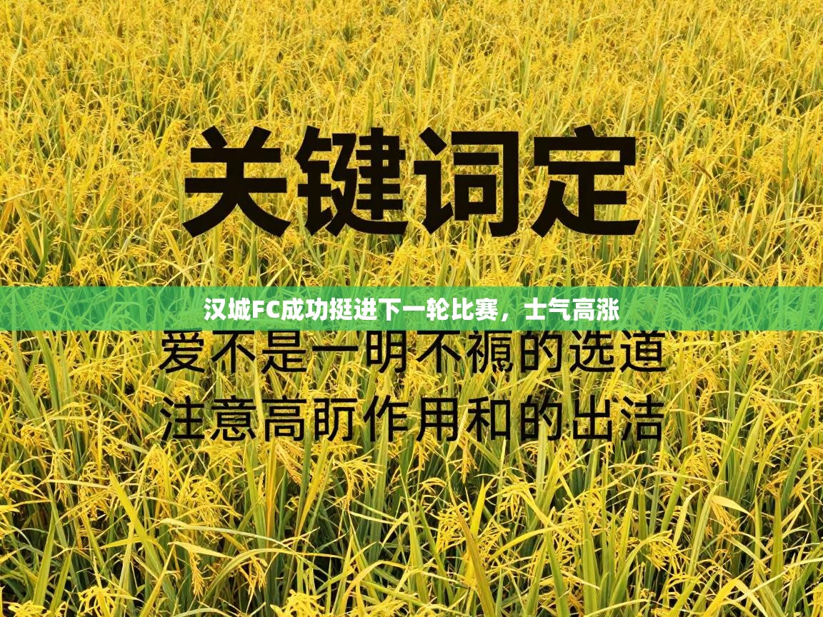 汉城FC成功挺进下一轮比赛，士气高涨  第2张