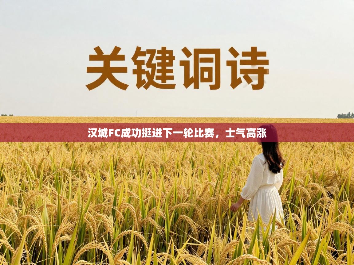 汉城FC成功挺进下一轮比赛，士气高涨  第1张