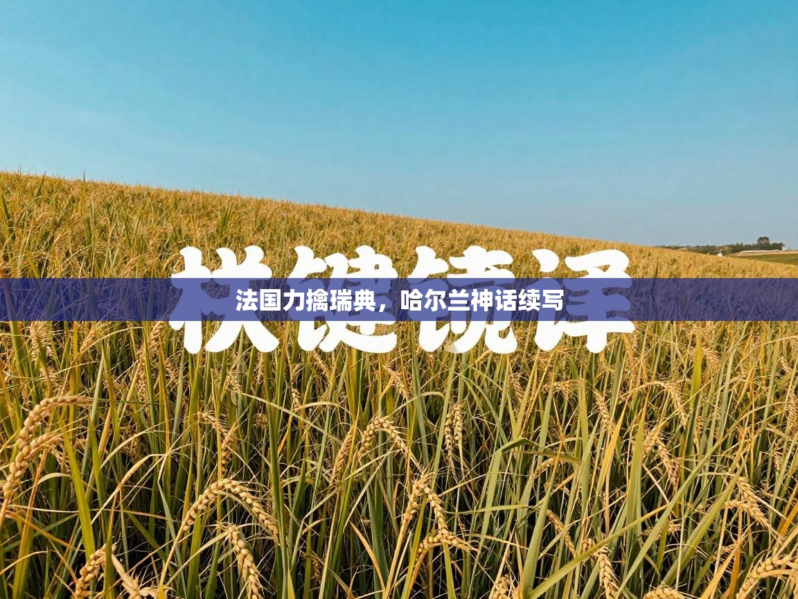 法国力擒瑞典,哈尔兰神话续写 第2张